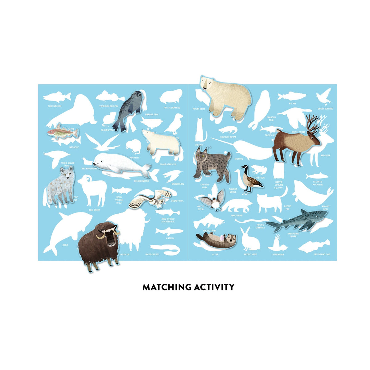 Sheet with illustrations of Arctic animals on a blue background, labeled 'Matching Activity'.