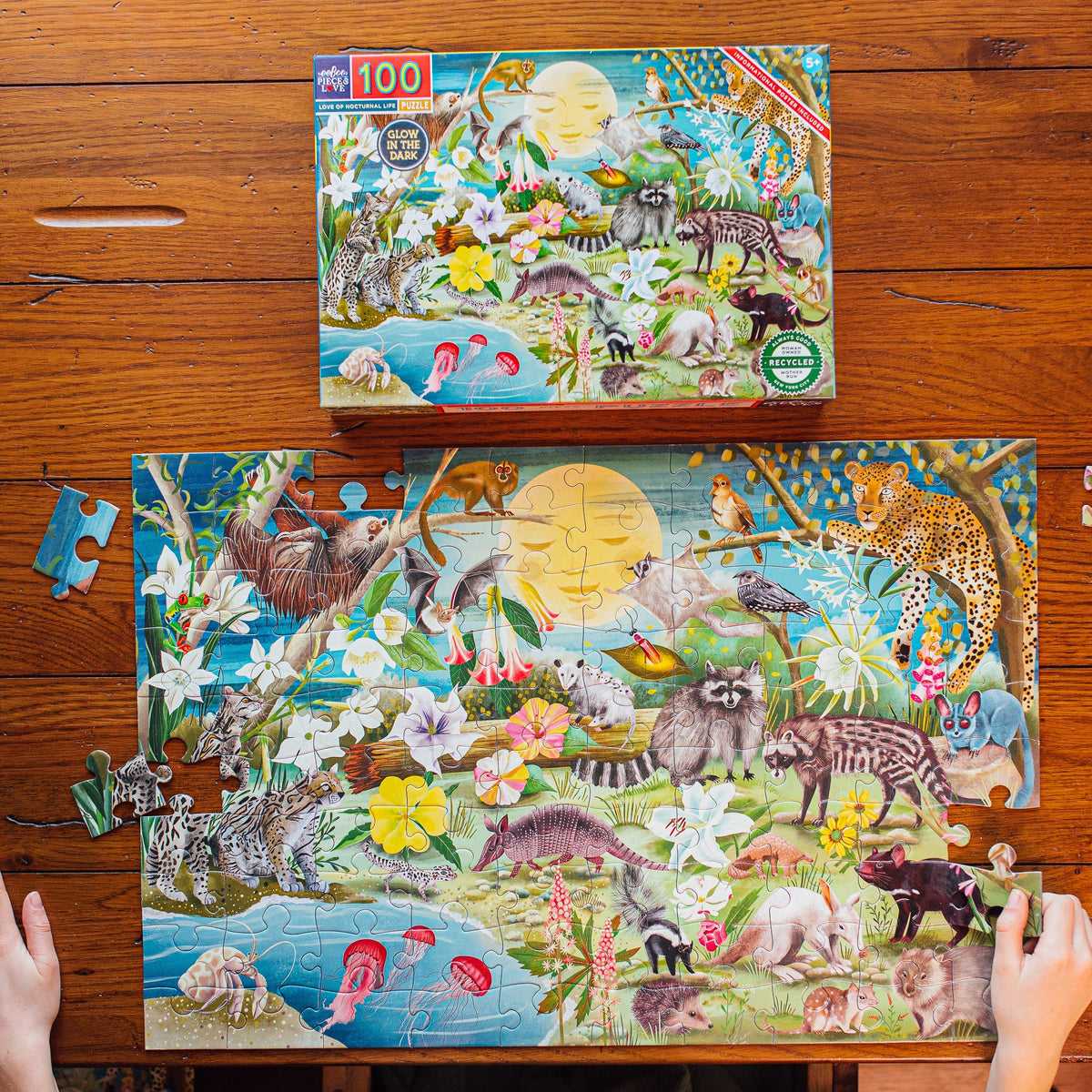 100 Piece Puzzle - Love of Nocturnal Life by eeBoo box placed above a partially completed jigsaw puzzle featuring the same vibrant illustration of nocturnal animals in a nighttime forest.