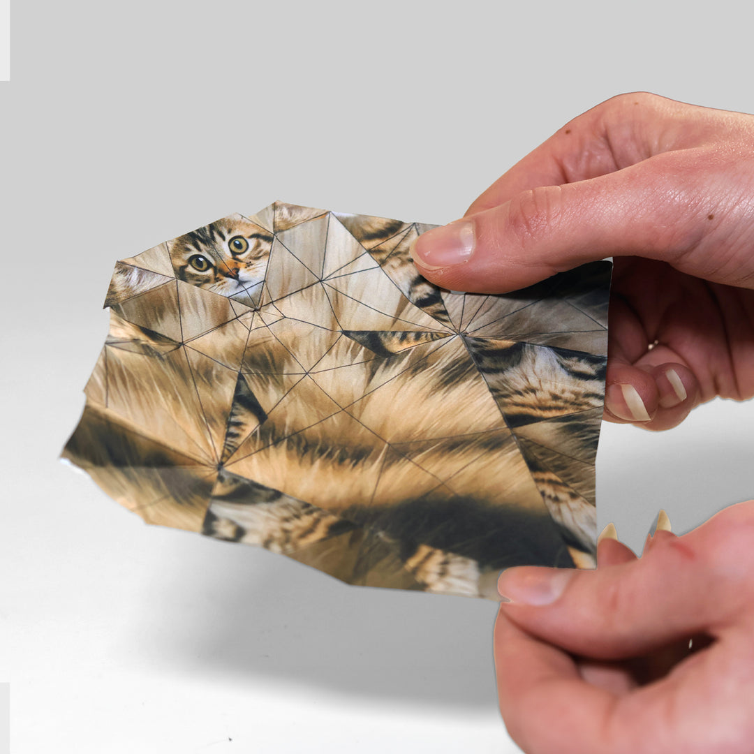Person holding a folded paper with a cat design on a white background