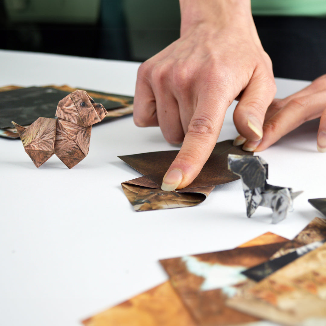 Person arranging leaf art of animals on a white surface