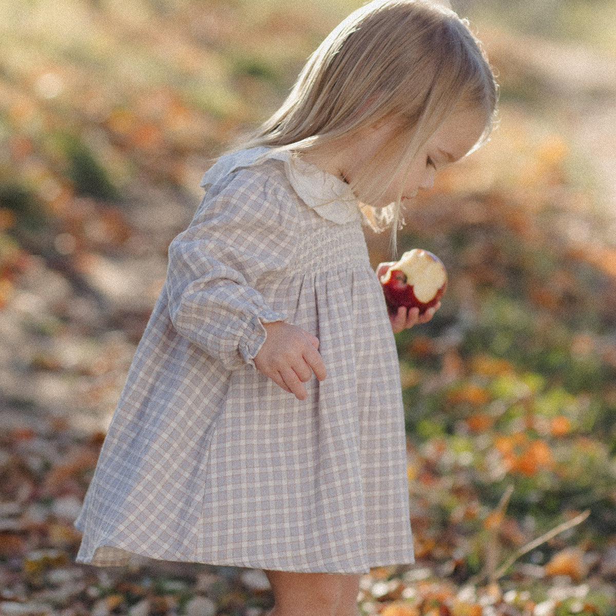 A young girl with blonde hair wearing a light blue and white checkered dress, standing outdoors in a wooded area with fallen leaves and holding a red apple.