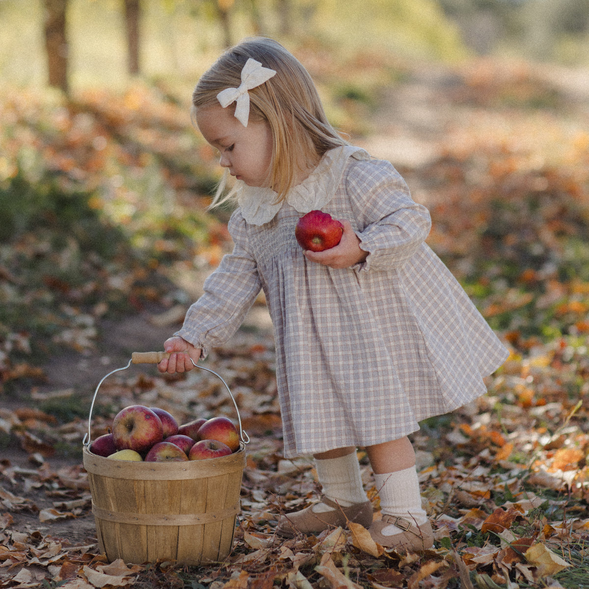 A young girl in a beige and white checkered dress with a white bow in her hair bends down to a wooden basket filled with apples on a leaf-covered path in an autumn park.