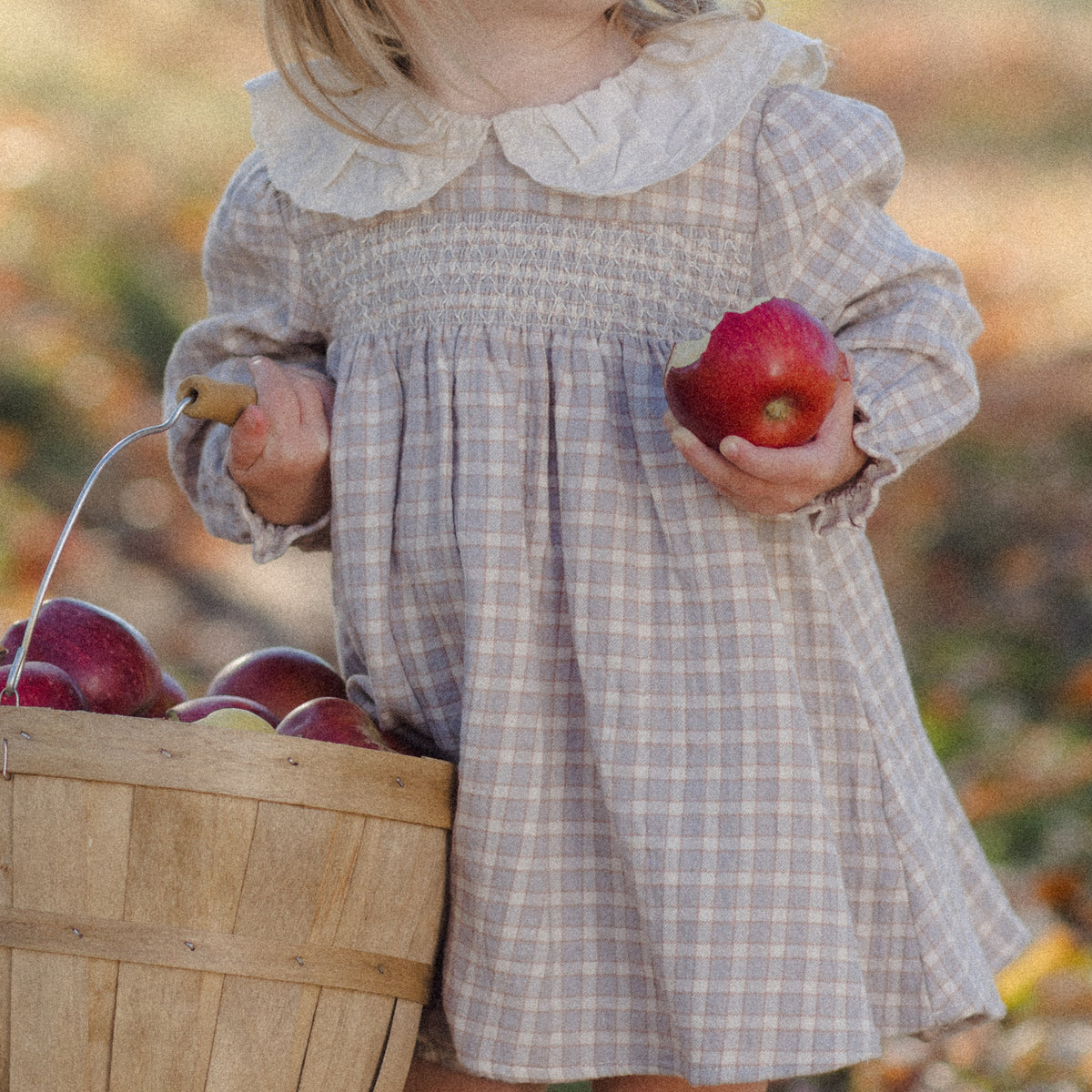 A toddler girl wearing a beige and gray plaid smocked dress with a cream ruffled collar, holding a wooden basket of red apples outdoors on a leaf-covered ground.