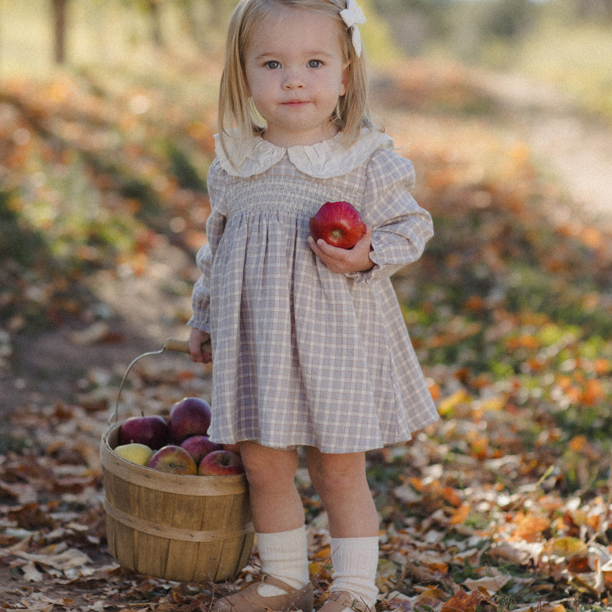 A young girl stands outdoors in a leaf-covered path holding a red apple, wearing a long-sleeve plaid dress with a white Peter Pan collar. A small wooden basket filled with apples sits beside her.