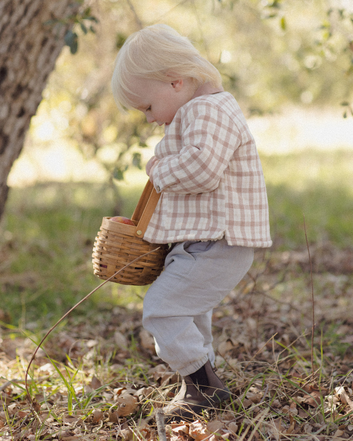 A toddler with blonde hair stands outdoors in a wooded area, wearing a beige and pink gingham long-sleeve shirt, light gray pants, and dark brown boots, while holding a small woven wicker basket with a wooden handle.