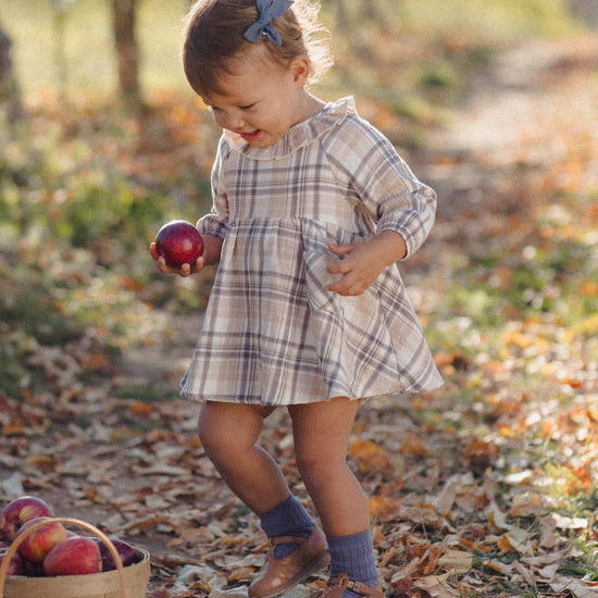 A toddler girl wearing a beige and brown plaid dress, blue socks, and brown shoes stands in a leaf-covered outdoor path holding a red apple. A basket of apples is visible in the lower left corner.