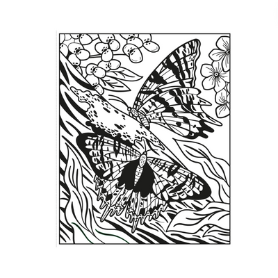 Butterflies Magic Painting Book
