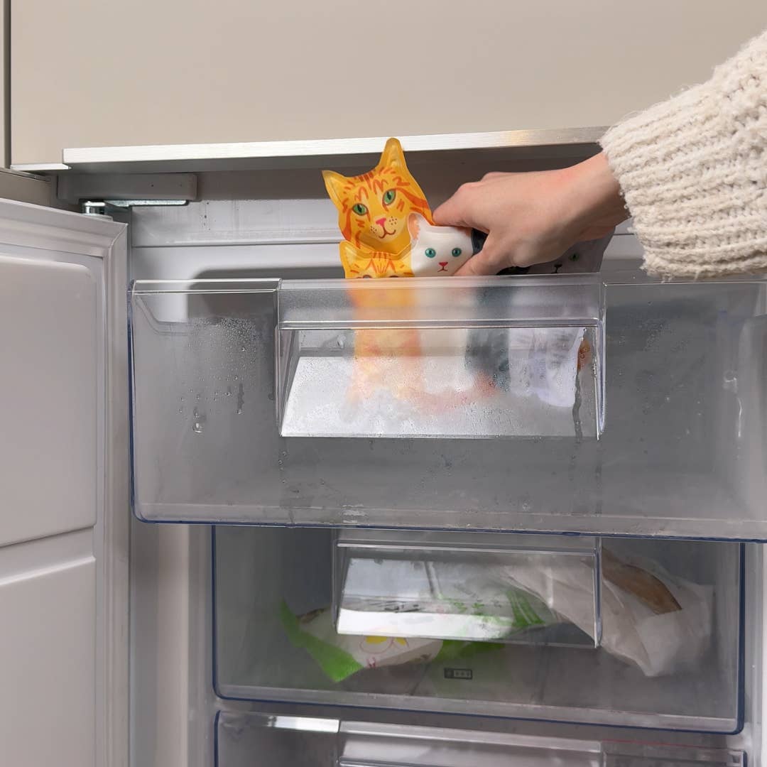 Person reaching into a refrigerator with a cat-shaped container.
