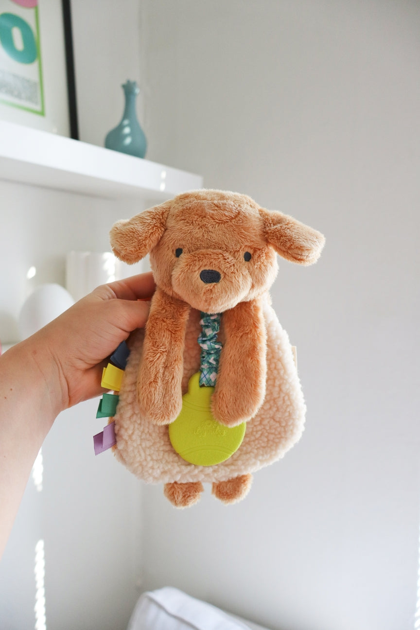 Plush toy held by a hand against a white background