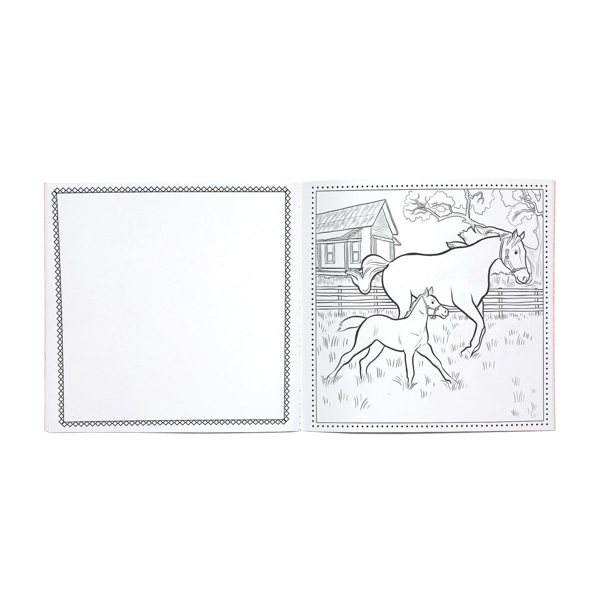 Two coloring pages with horse illustrations on a white background