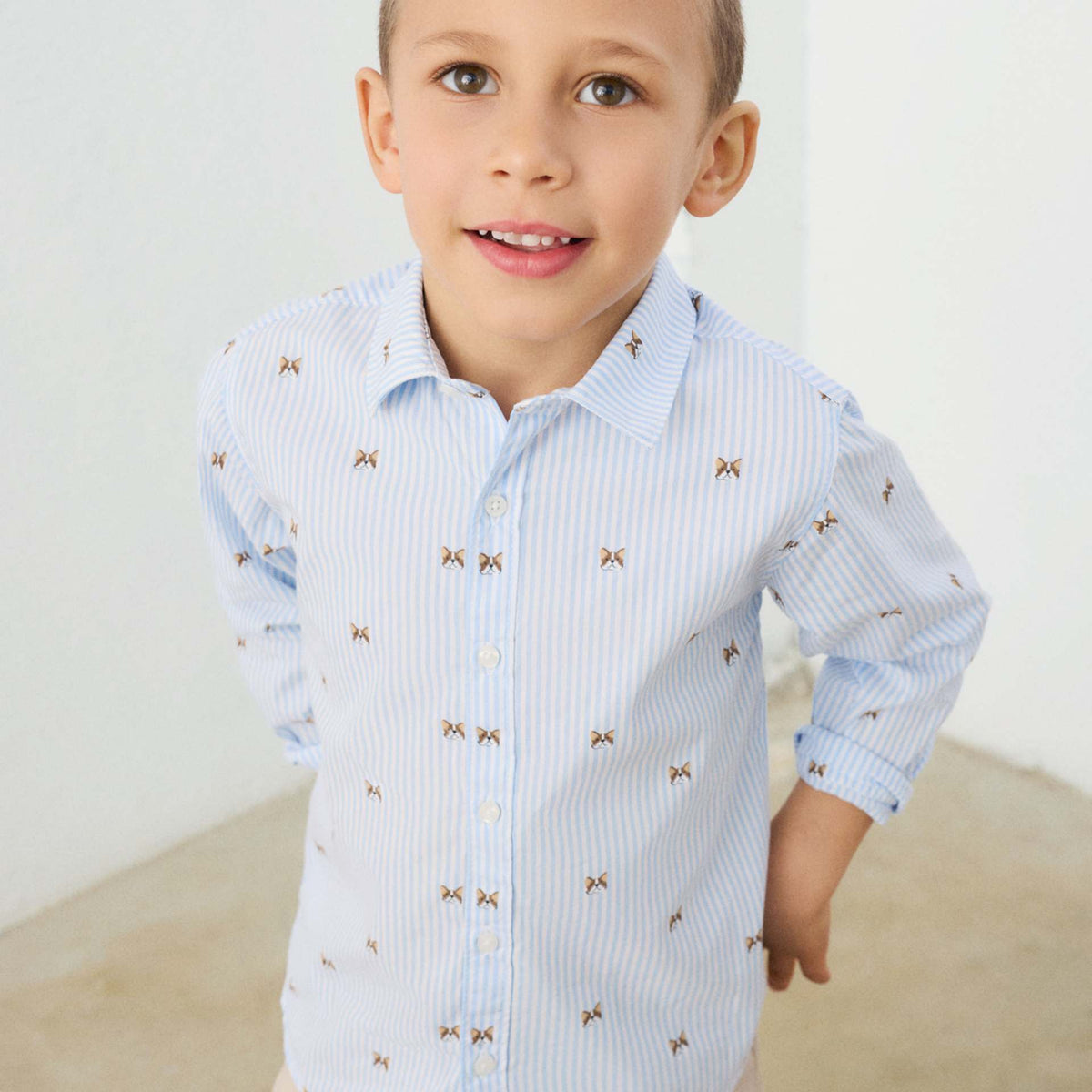 A young boy wearing a light blue and white vertically striped long-sleeve button-down shirt with small brown bowtie motifs, paired with beige pants, standing against a plain light background.