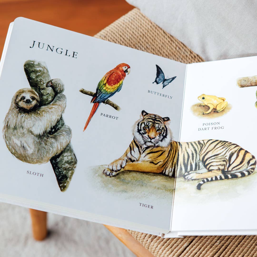 Children's book open to pages showing illustrations of a sloth, parrot, butterfly, poison dart frog, and tiger.