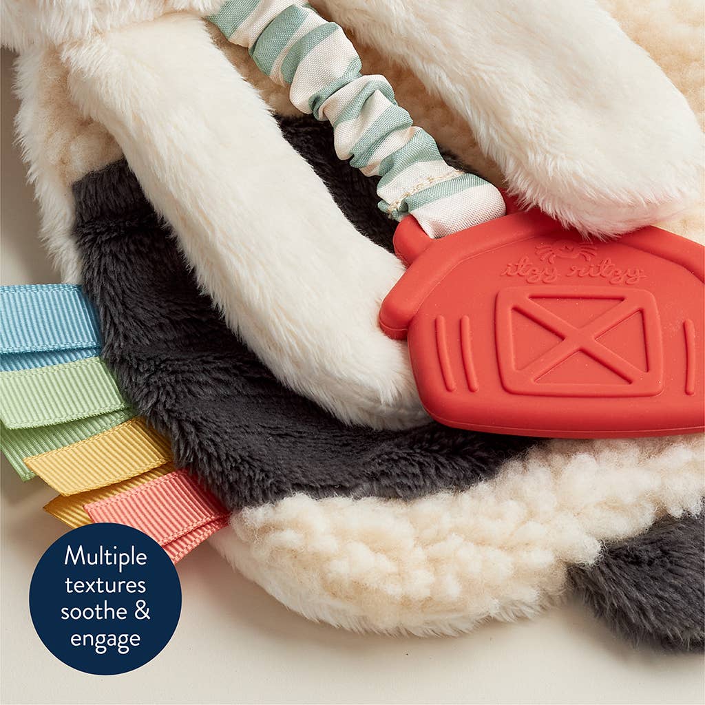 Dog toy with textured handle and soft plush body on a light background