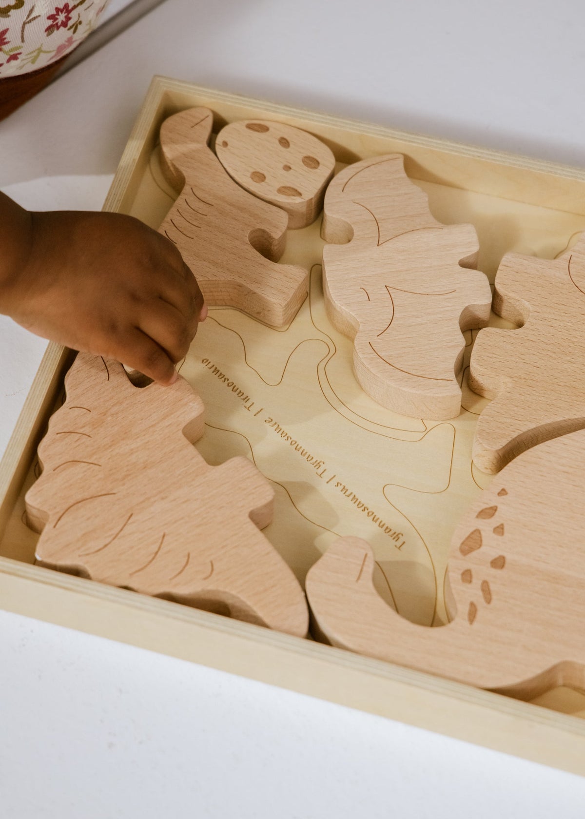Wooden puzzle with animal shapes in a box, child's hand reaching in.