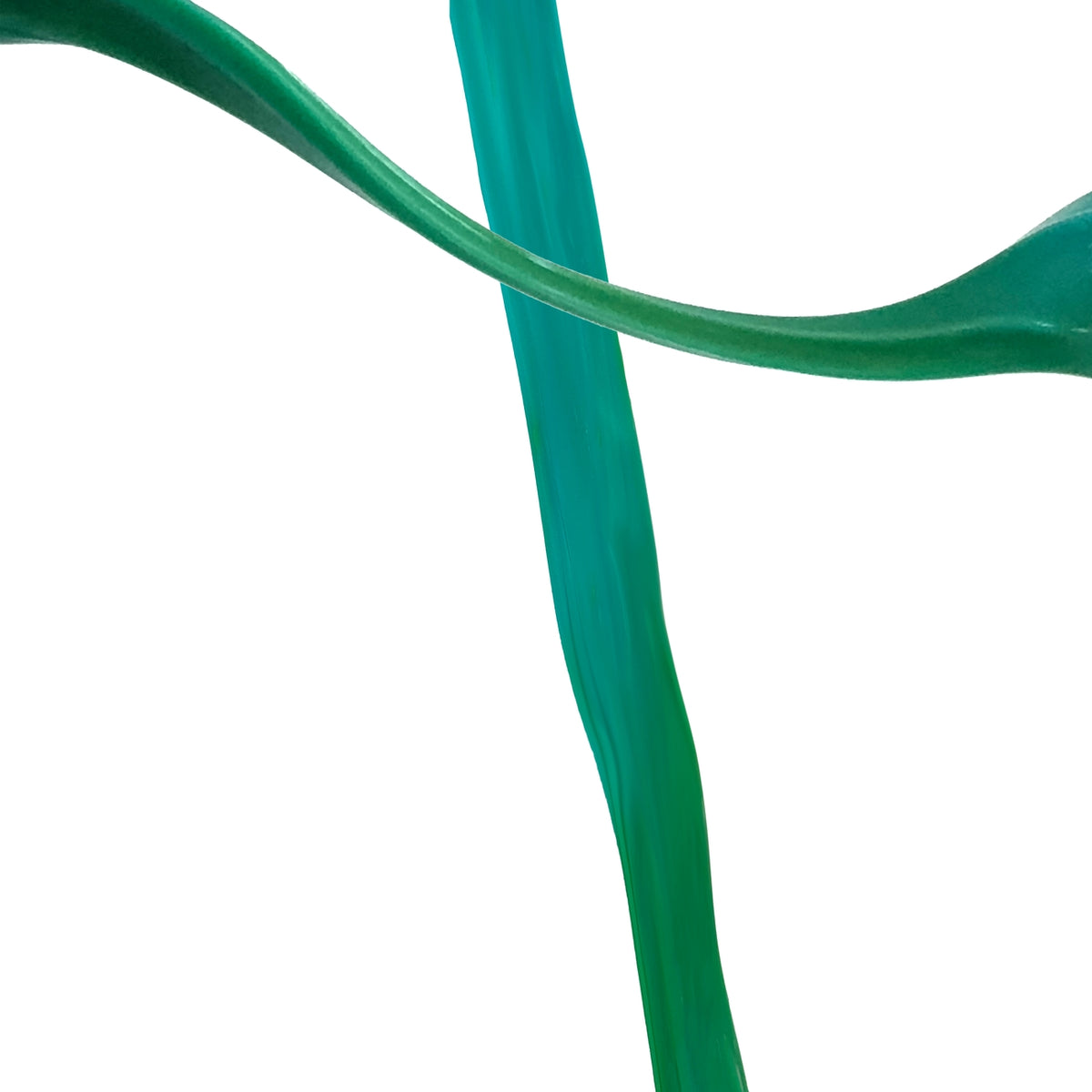Close-up of a green hose on a white background