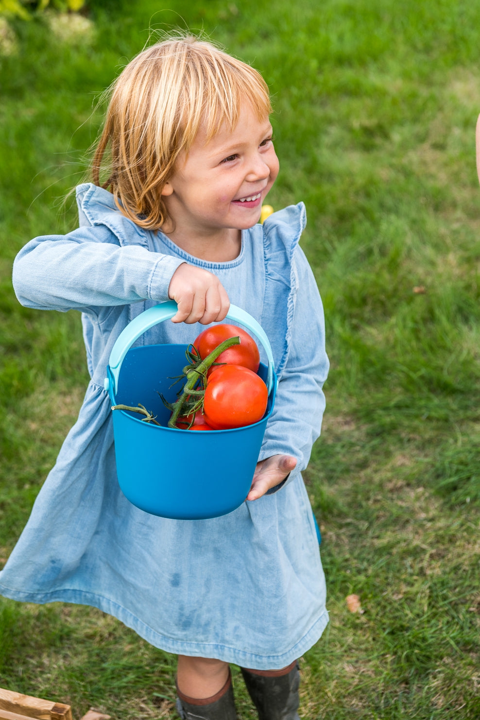 Child holding a blue bucket with tomatoes in a garden