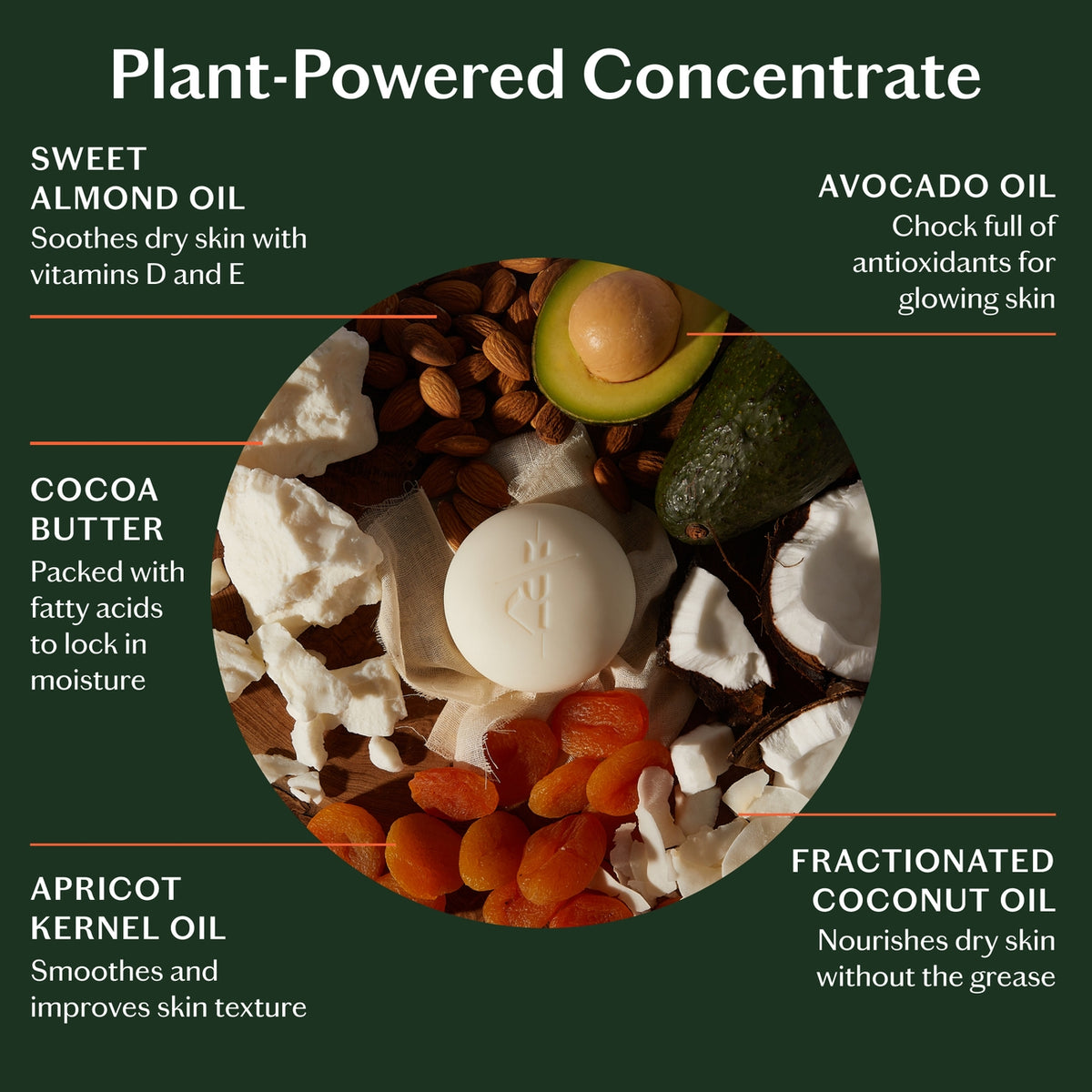 Plant-based skincare concentrate ingredients with labels on a green background