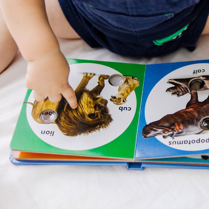 Child's hand pointing to a lion illustration in an educational book on a white surface