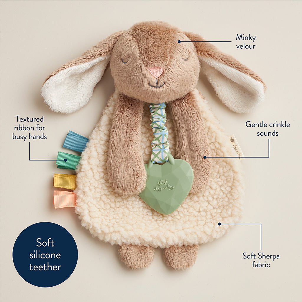 Plush toy rabbit with features labeled on a beige background