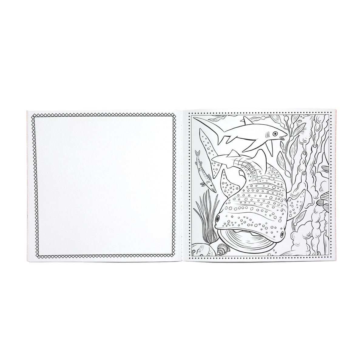 Two coloring pages with ocean-themed designs on a white background