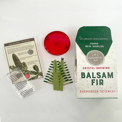 Crystal Growing Balsam Fir by Copernicus Toys