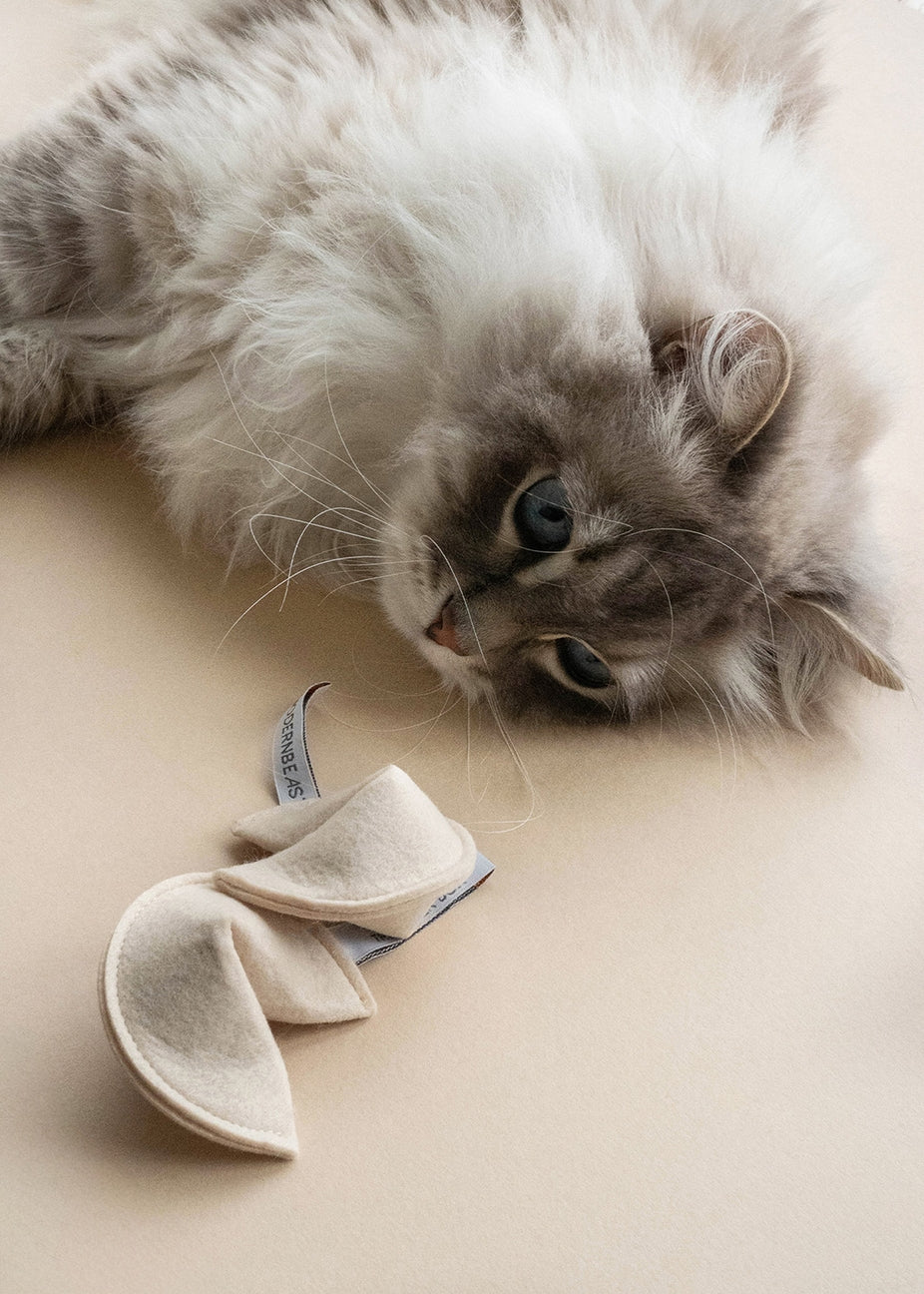 Cat playing with a catnip toy on a beige surface