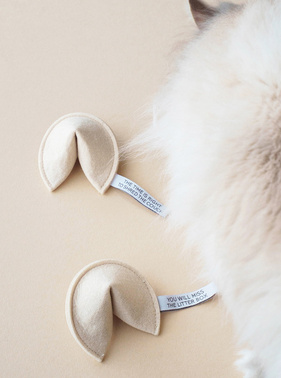 Two beige fortune cookies with text on a light background