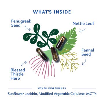 Illustration of herbs and seeds with labels on a white background