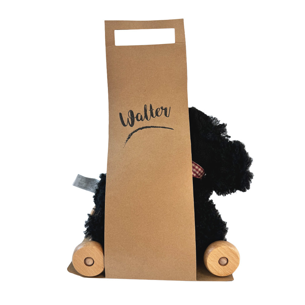 Black dog toy with wooden wheels inside a cardboard box labeled 'Walter' on a white background