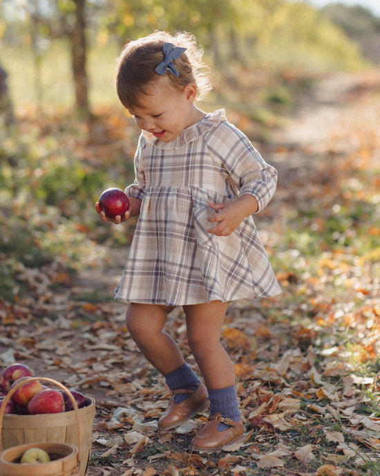 A toddler girl wearing a beige and brown plaid dress, blue socks, and brown shoes stands in a leaf-covered outdoor path holding a red apple. A basket of apples is visible in the lower left corner.