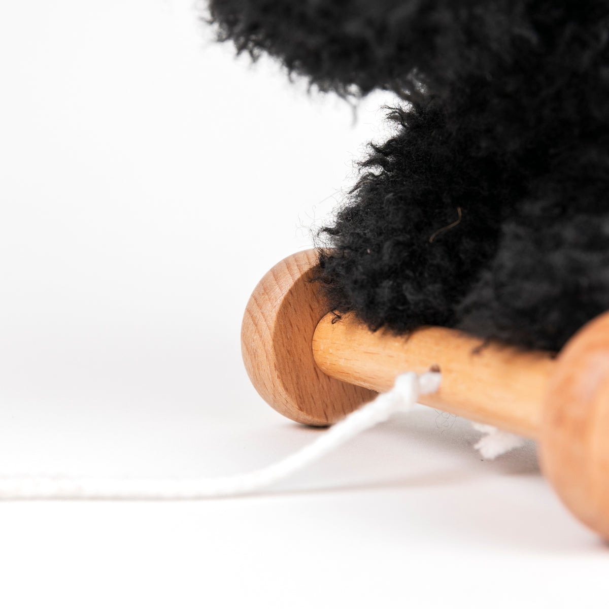 Close-up of a dog's paw on a wooden toy with a white background