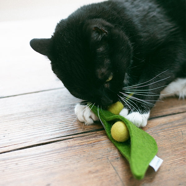 A black and white cat gnaws on a green felt pea pod toy with yellow felt peas on a rustic wooden floor.
