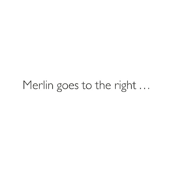 Text 'Maison Auren' on a white background