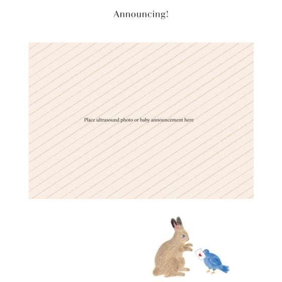 A baby announcement or ultrasound photo frame template decorated with a string of colorful flags at the top and bottom, featuring a cute watercolor rabbit and a blue bird holding a love letter at the bottom right.