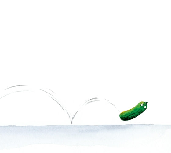 Green zucchini on a white background
