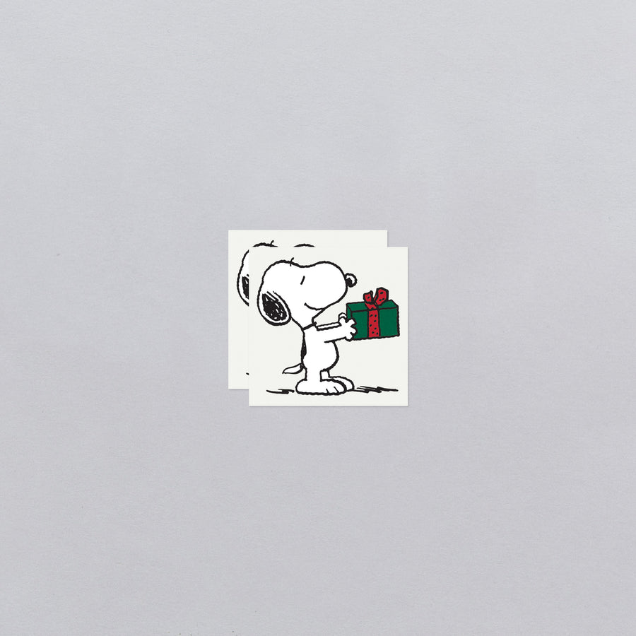Cartoon dog holding a gift box on a gray background