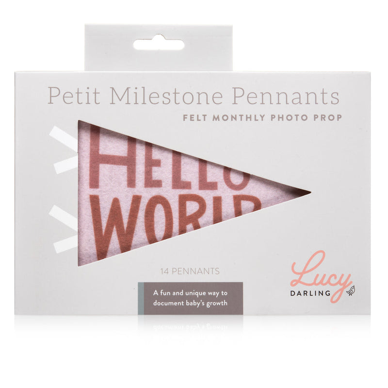 Mountain Fields Petit Milestone Pennant by Lucy Darling Gifts Lucy Darling   
