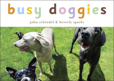 Busy Doggies - Board Book Books Random House   