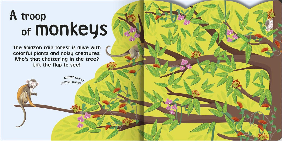 Peek and Seek - Board Book Books Penguin Random House