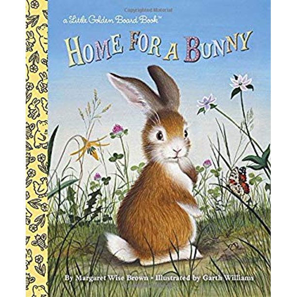 Home For A  Bunny - Board Book