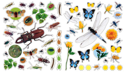EyeLike Stickers: Bugs Books Workman Publishing   