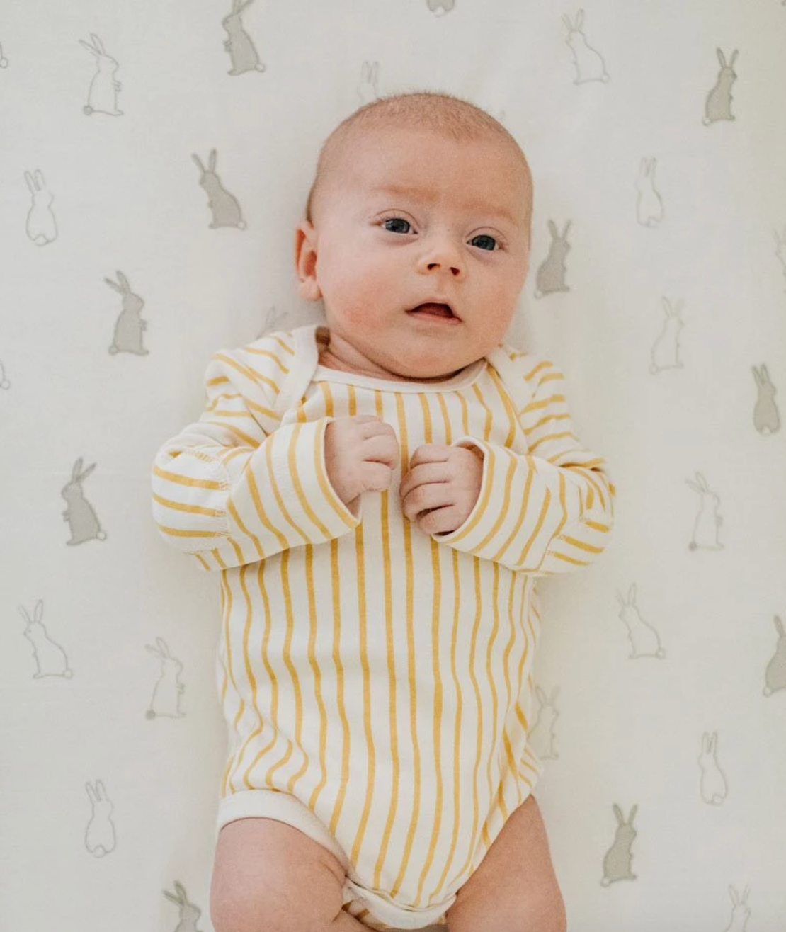 Organic Bunny Hop Crib Sheet by Pehr Bedding Pehr