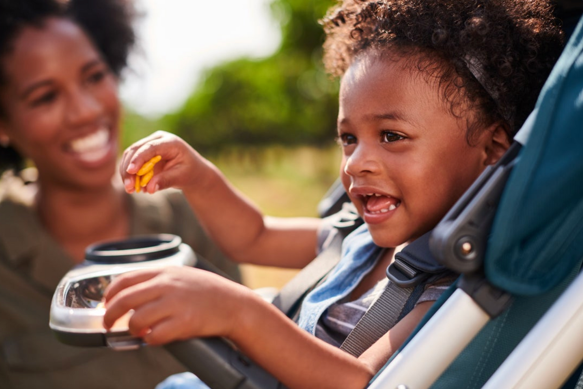 Snack Tray for Cruz + Vista Strollers by UPPAbaby Gear UPPAbaby