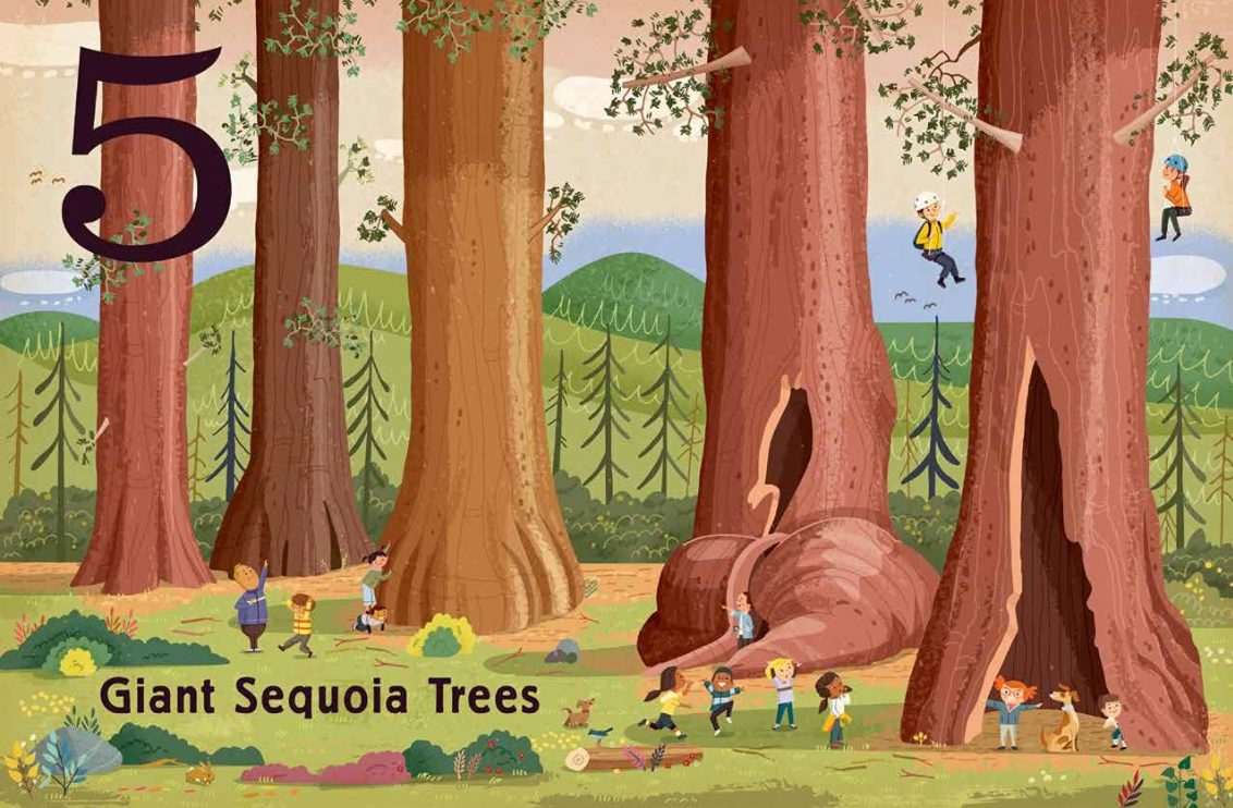 Trees: A Count and Find Primer - Board Book Books Gibbs Smith