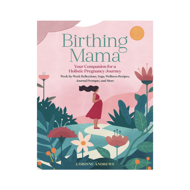 Birthing Mama - Paperback Books Workman Publishing   