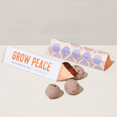 Bright Side Seed Balls by Modern Sprout Toys Modern Sprout Grow Peace  