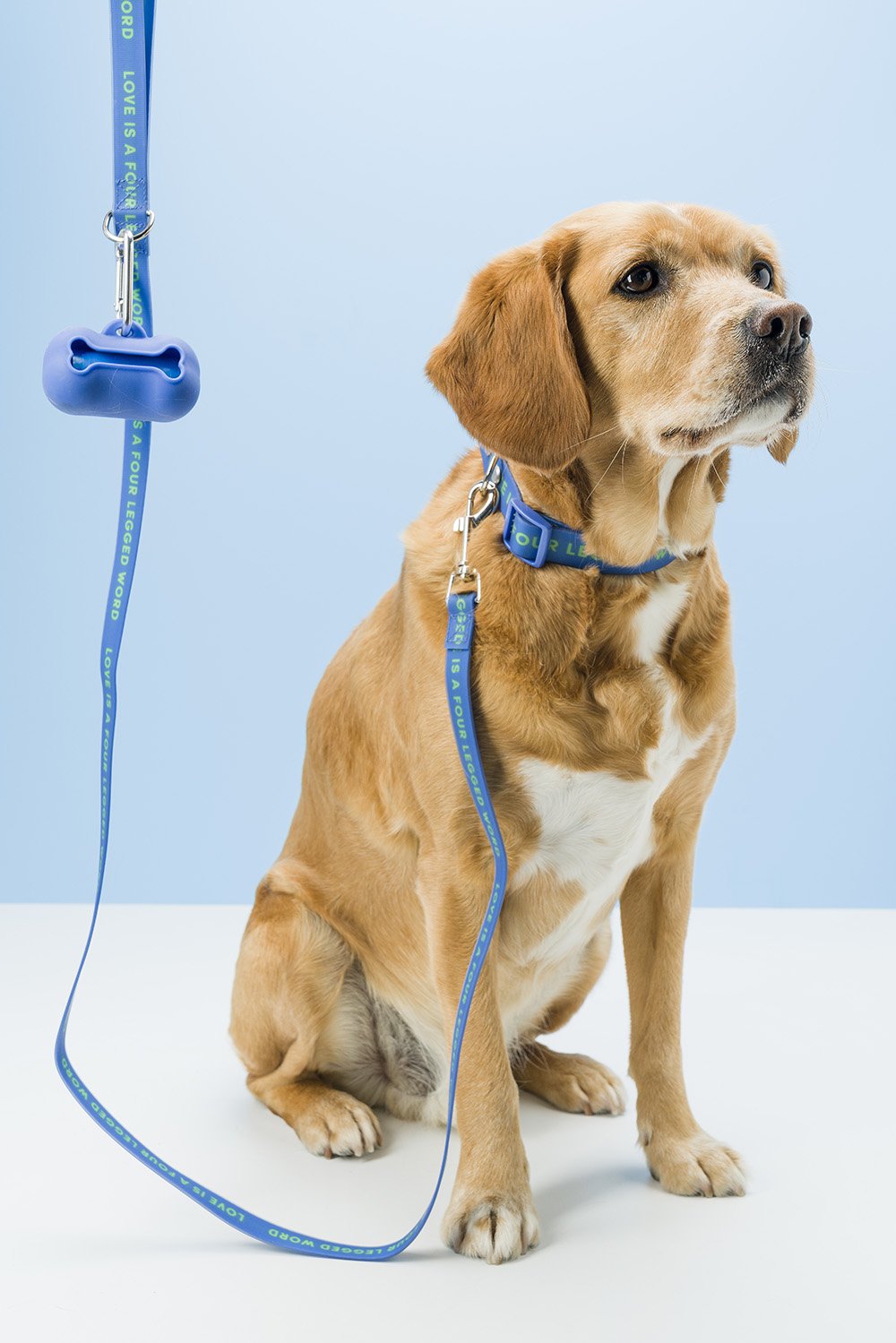 Silicone Poo Bag by Gummi Pets Pets Gummi Pets