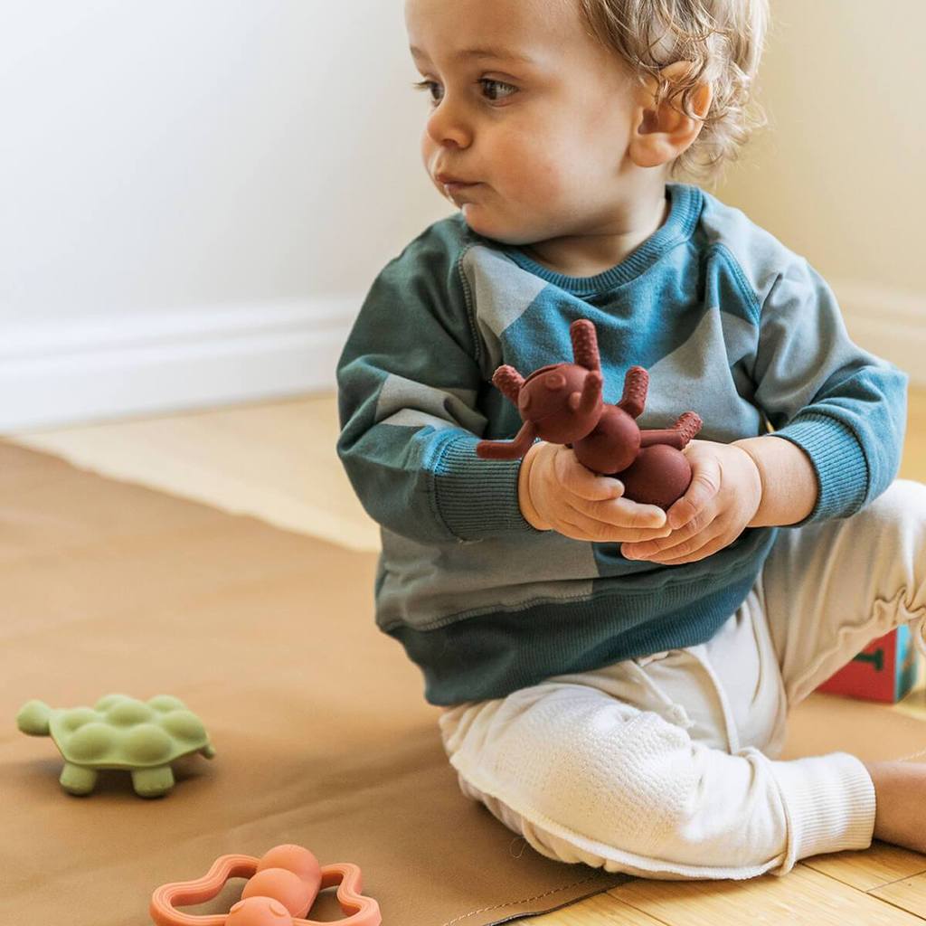 The Chew - Ant-icipation Teether by Doddle & Co Toys Doddle & Co