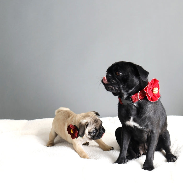 Dog Collar Flower - Red Velvet by Mimi Green Pets Mimi Green