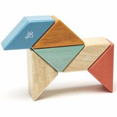 Magnetic Block Set 6 Pc Prism Pocket Pouch - Sunset by Tegu Toys Tegu   